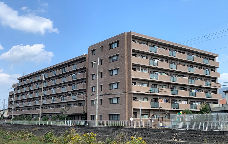 レック八尾山本 312号室